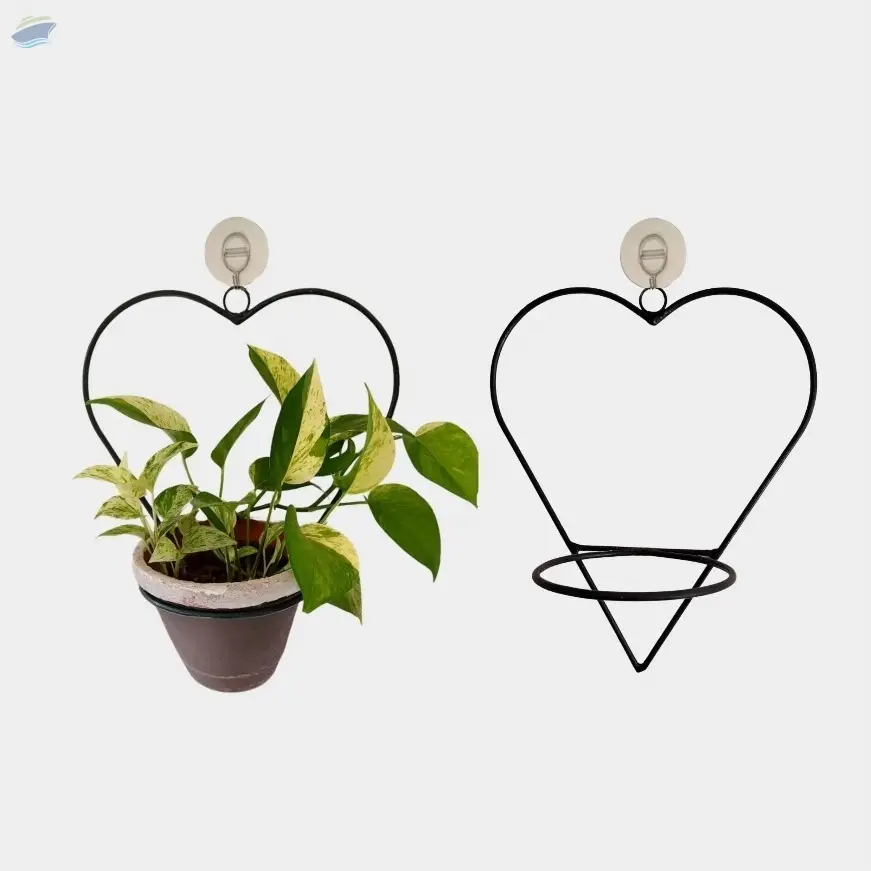 Wall Mounted Holders
