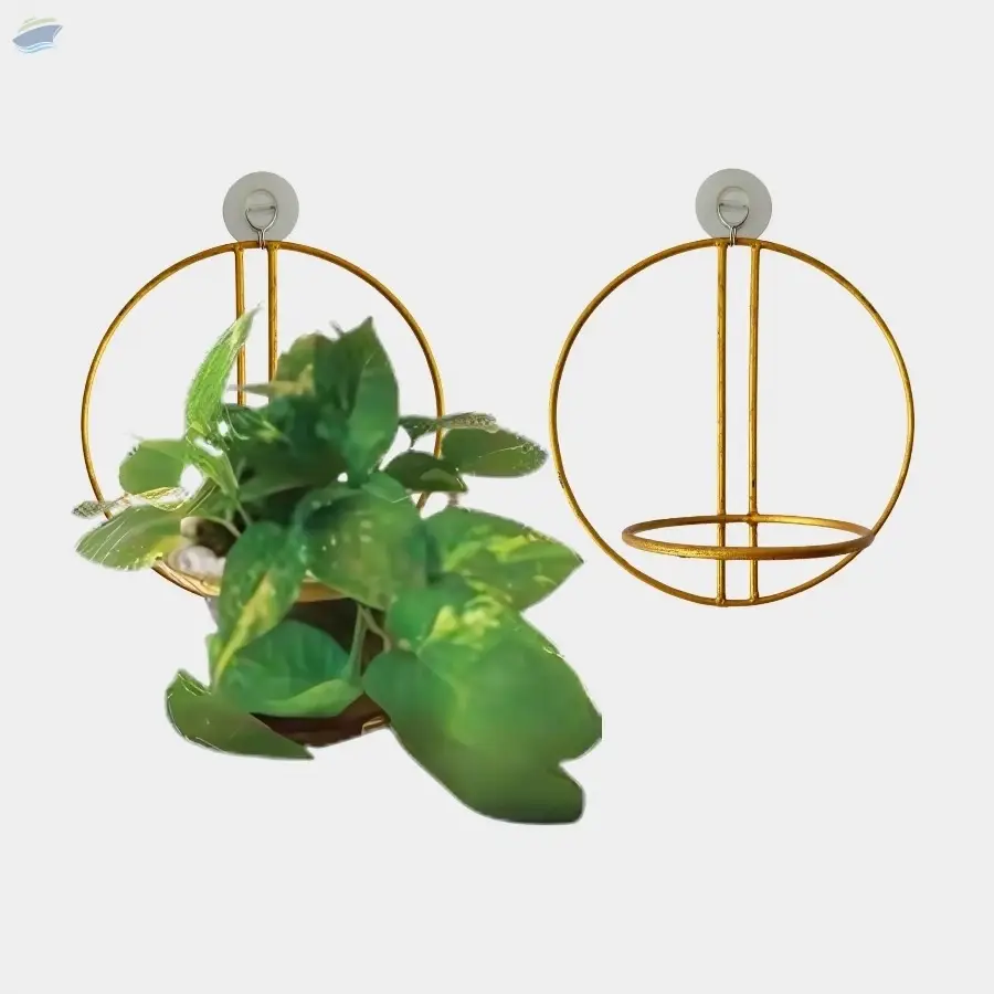 Wall Mounted Holders