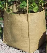 Jute Bags