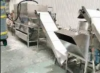 Garlic Peeling Machine