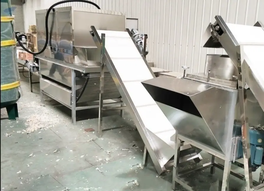 Garlic Peeling Machine