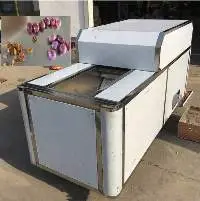Fruit Seeds Removing Machine Series