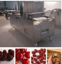 Olive Cherry Date Seeds Removing Machine