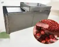 Red Date Seeds Removing Machine