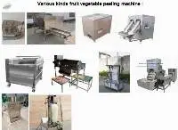 Various Fruit Vegetable Peeling Machine