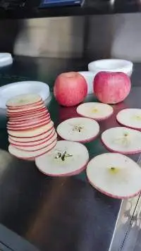 Apple Fruit Slicing Machine Good Business Idea
