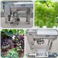 Fresh Grape Stalk Removing Crushing Machine