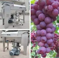 Grape Wine Fementation Tank