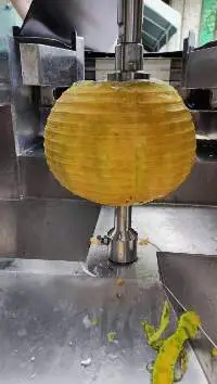 Fruit Vegtable Peeling Machine