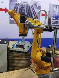 Customized Palletizing Robot