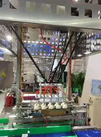 Customized Spider Hand Delta Robot