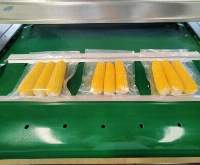 Food Vacuum Packing Machine