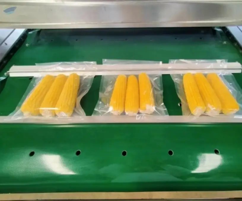 Food Vacuum Packing Machine