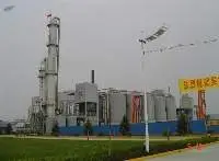 Edible/Food Ethanol Alcohol Process Plant