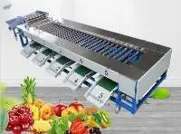 Fruit Vegetable Sorting Machine Grader Machine