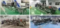 Vegetable Cleaning Production Line