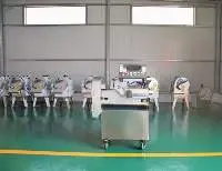 Multifunction Vegetable Cutting Machine