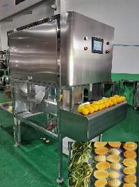 Mangoes Peeling-remove core-in One Machine