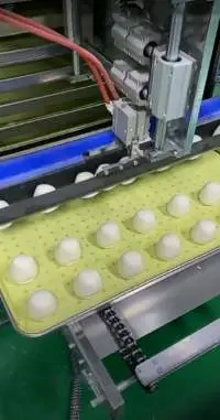 Automatic Dough Plate Setting - Shelving Machine