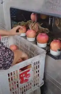 Apple Peeling Machine With Removing Seeds