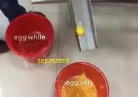 Egg White And Yolk Separator Machine