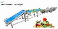 Auomatic Clean Vegetable Processing Line