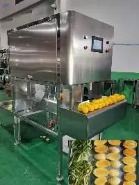 Mango Peeling -Removing Seeds -in-One Machine