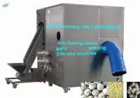Dry Type Garlic Peeling Machine