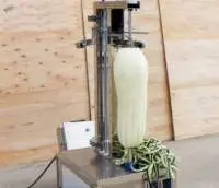 Big Size Vegetable Fruit Peeling Machine