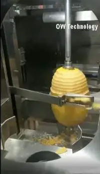 Fruit Vegetable Peeling Machine