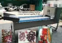 Olive Seeds Removing Machine