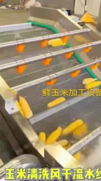 Fresh Corn Cleaning Production Line