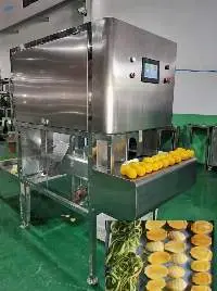 Mango Peeling -Removing Seeds -in-one -machine