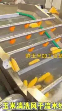 Vegetable Fruit Washing Cleaning Machine