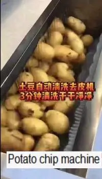 Smei-Automatic Potato Chip Making Machine
