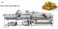 Factory Price Vegetable Current Cleaning Machine