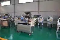 Multifunction Vegetable Cutting Machine