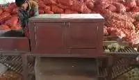 Hot Eye Onion Peeling Machine