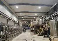Starch Making Machine Equipment