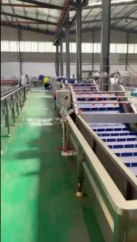 Fruit Vegetable Process Machine
