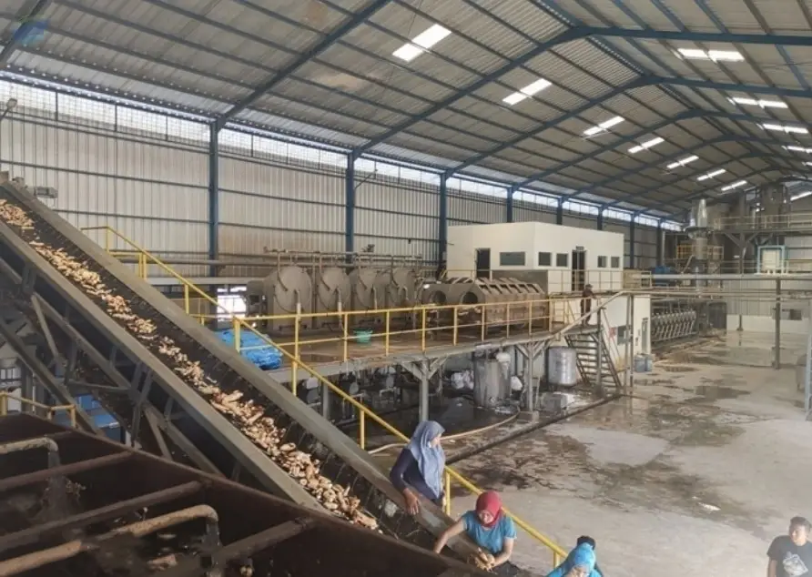 Africa Cassava Starch Process Line Plant Machine