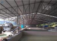 Cassava Process Machine Plant