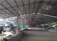Cassava Process Machine Plant