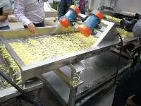 French Fries Production Line