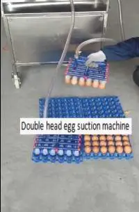 Egg Suction Machine For Egg Process Necessary