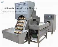 Type 2 Onion Root Cutting And Peeling Machine