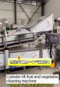 Lifting Vegetable Fruit Cleaning Machine