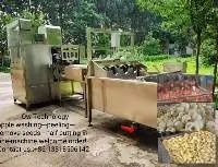 Apple Peeling Remove Seeds Half Cutting Machine
