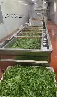 Cleaning Vegetable Fruit Process Line