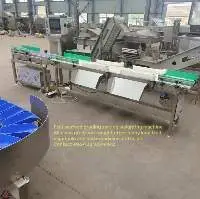 Fish Grading Sorting Weighting Machine